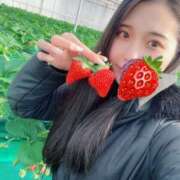 ヒメ日記 2025/09/01 12:00 投稿 らん ヌーベル・マリエ