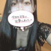 ヒメ日記 2025/09/02 12:00 投稿 らん ヌーベル・マリエ