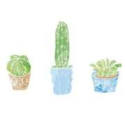 ヒメ日記 2025/09/22 23:12 投稿 花咲まな サクラ（すすきの）