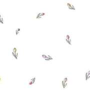 ヒメ日記 2025/09/23 23:30 投稿 花咲まな サクラ（すすきの）