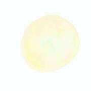 ヒメ日記 2025/11/01 00:03 投稿 花咲まな サクラ（すすきの）