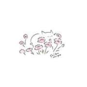 ヒメ日記 2025/11/02 11:48 投稿 花咲まな サクラ（すすきの）