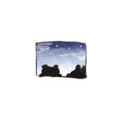 ヒメ日記 2025/11/29 17:48 投稿 花咲まな サクラ（すすきの）