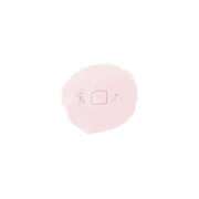 ヒメ日記 2025/12/03 10:19 投稿 花咲まな サクラ（すすきの）