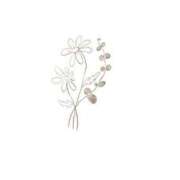 花咲まな ・出番未だに サクラ（すすきの）