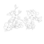 ヒメ日記 2026/02/20 09:33 投稿 花咲まな サクラ（すすきの）