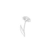 ヒメ日記 2026/03/24 06:06 投稿 花咲まな サクラ（すすきの）