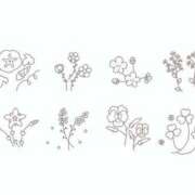 ヒメ日記 2026/07/15 06:48 投稿 花咲まな サクラ（すすきの）