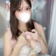 ヒメ日記 2025/09/16 09:35 投稿 めい 恋するバニー