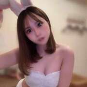 ヒメ日記 2025/11/24 14:26 投稿 めい 恋するバニー