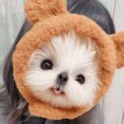 のん 秋だ〜 チェックイン横浜女学園