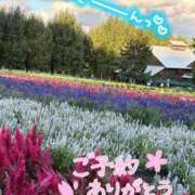 ヒメ日記 2025/10/04 12:28 投稿 みさき 川越おかあさん