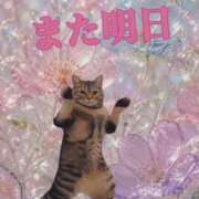ヒメ日記 2026/09/19 18:18 投稿 みさき 川越おかあさん