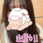 ヒメ日記 2025/11/06 19:29 投稿 ゆなち サンキュー福岡店