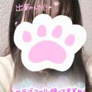 ヒメ日記 2025/12/15 19:41 投稿 ゆなち サンキュー福岡店