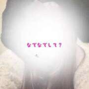 ヒメ日記 2026/02/12 23:19 投稿 ゆなち サンキュー福岡店