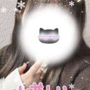 ヒメ日記 2026/02/28 06:40 投稿 ゆなち サンキュー福岡店