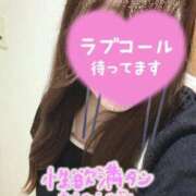 ヒメ日記 2026/07/10 19:39 投稿 ゆなち サンキュー福岡店