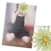 ヒメ日記 2025/09/09 20:47 投稿 未経験まみ 清楚系美女専門店PLATINUMプラチナム四日市店