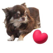 ひいろ 逢いたいなぁ💗 YESグループ　華女