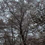 ヒメ日記 2025/08/14 21:03 投稿 夢野凪彩 お姉さんCLUB