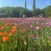 ヒメ日記 2025/08/16 09:00 投稿 夢野凪彩 お姉さんCLUB