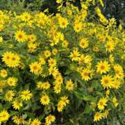 ヒメ日記 2025/08/31 16:00 投稿 夢野凪彩 お姉さんCLUB