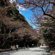 ヒメ日記 2025/09/02 10:09 投稿 夢野凪彩 お姉さんCLUB