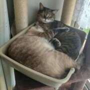 ヒメ日記 2025/09/06 08:37 投稿 夢野凪彩 お姉さんCLUB