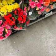 ヒメ日記 2025/09/16 12:54 投稿 夢野凪彩 お姉さんCLUB