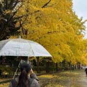 ヒメ日記 2025/11/03 20:48 投稿 夢野凪彩 お姉さんCLUB