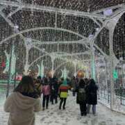 ヒメ日記 2025/11/20 11:18 投稿 夢野凪彩 お姉さんCLUB