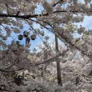 ヒメ日記 2025/11/25 16:04 投稿 夢野凪彩 お姉さんCLUB