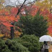 ヒメ日記 2026/03/16 16:03 投稿 夢野凪彩 お姉さんCLUB