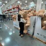 ヒメ日記 2026/03/23 18:19 投稿 夢野凪彩 お姉さんCLUB