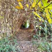 ヒメ日記 2025/11/03 22:27 投稿 松浦　こあ 30・40・50代☆人妻熟女コレクション