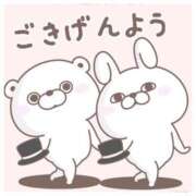 ヒメ日記 2025/11/19 11:31 投稿 松浦　こあ 30・40・50代☆人妻熟女コレクション
