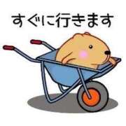 ヒメ日記 2025/12/03 11:49 投稿 松浦　こあ 30・40・50代☆人妻熟女コレクション