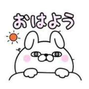 ヒメ日記 2025/12/04 08:15 投稿 松浦　こあ 30・40・50代☆人妻熟女コレクション