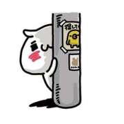 ヒメ日記 2025/12/09 12:13 投稿 松浦　こあ 30・40・50代☆人妻熟女コレクション