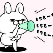 ヒメ日記 2025/12/24 12:50 投稿 松浦　こあ 30・40・50代☆人妻熟女コレクション