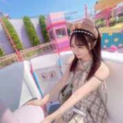 ヒメ日記 2025/07/28 12:05 投稿 ハルミ きらめけ！にゃんにゃん学園in大宮