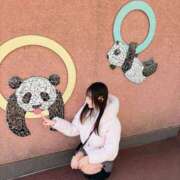 ヒメ日記 2026/01/22 20:24 投稿 ハルミ きらめけ！にゃんにゃん学園in大宮