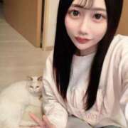 ハルミ 明日‼️ きらめけ！にゃんにゃん学園in大宮