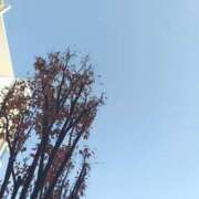 ヒメ日記 2025/12/16 14:33 投稿 翔子 出会い系人妻ネットワーク錦糸町～小岩編