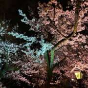 ヒメ日記 2026/03/29 22:26 投稿 NAMI Club SEXY