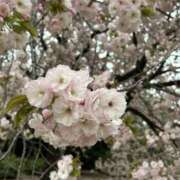 ヒメ日記 2026/04/08 21:08 投稿 NAMI Club SEXY