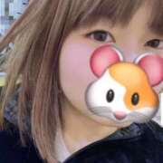 ヒメ日記 2025/11/18 18:42 投稿 ねお スピード京橋店