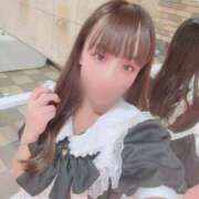 ヒメ日記 2025/08/20 07:14 投稿 なつめ チューリップ福井本館