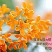 ヒメ日記 2026/10/12 15:57 投稿 美河 ルイ CASA BIANCA（カーサ・ビアンカ）